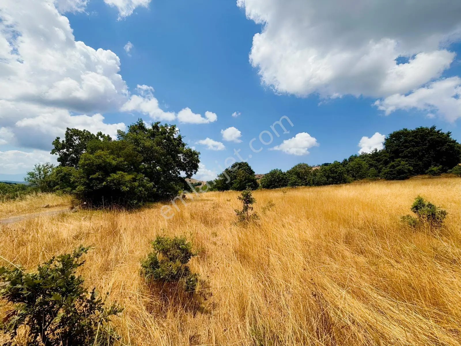 Rw Nova'dan Yola Cephe 4.183 M2 Harika Manzaralı Arazi — fotoğraf 15