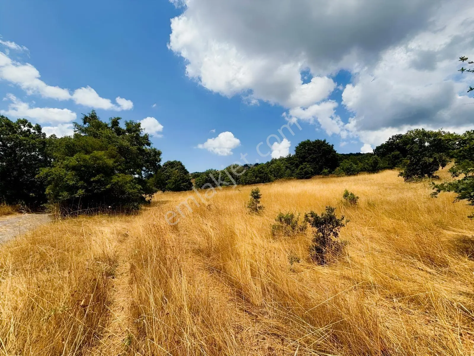 Rw Nova'dan Yola Cephe 4.183 M2 Harika Manzaralı Arazi — fotoğraf 17