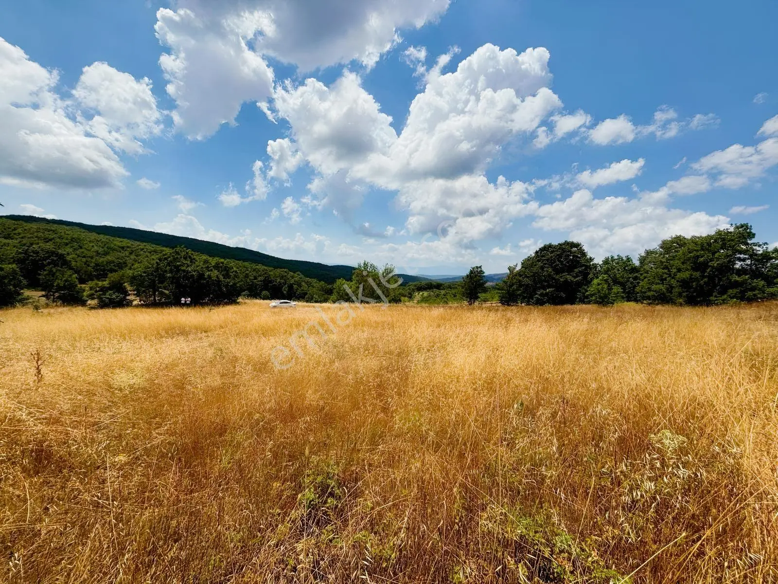 Rw Nova'dan Yola Cephe 4.183 M2 Harika Manzaralı Arazi — fotoğraf 18