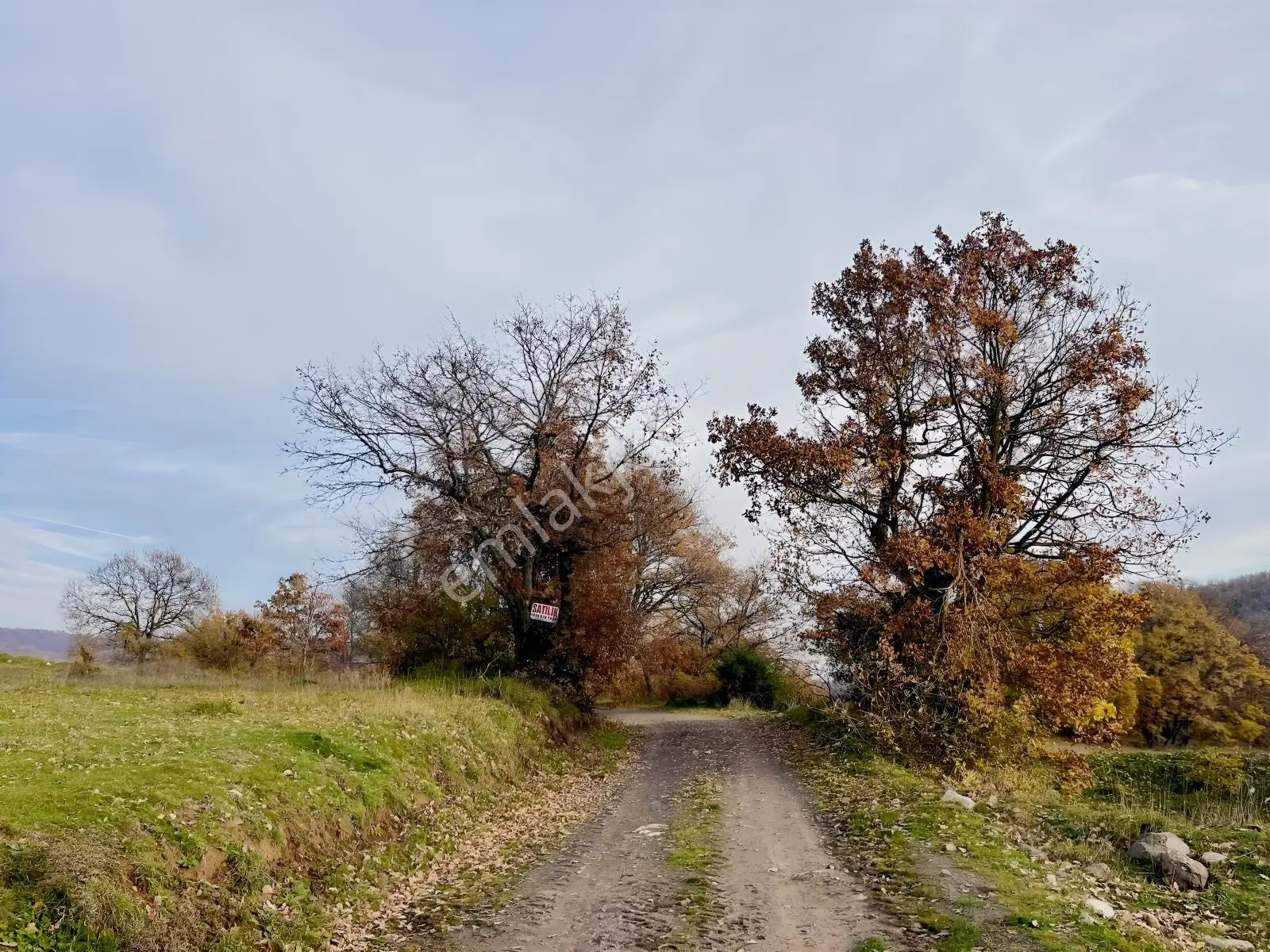 Rw Nova'dan Yola Cephe 4.183 M2 Harika Manzaralı Arazi — fotoğraf 21