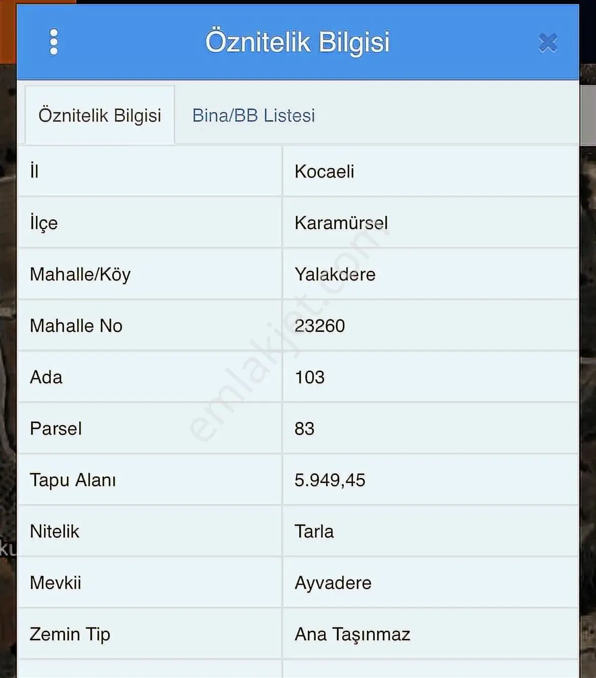 Yalakdere'de 5.949 M2 Yetişkin 135 Ağaçlı Ceviz Bahçesi — fotoğraf 18