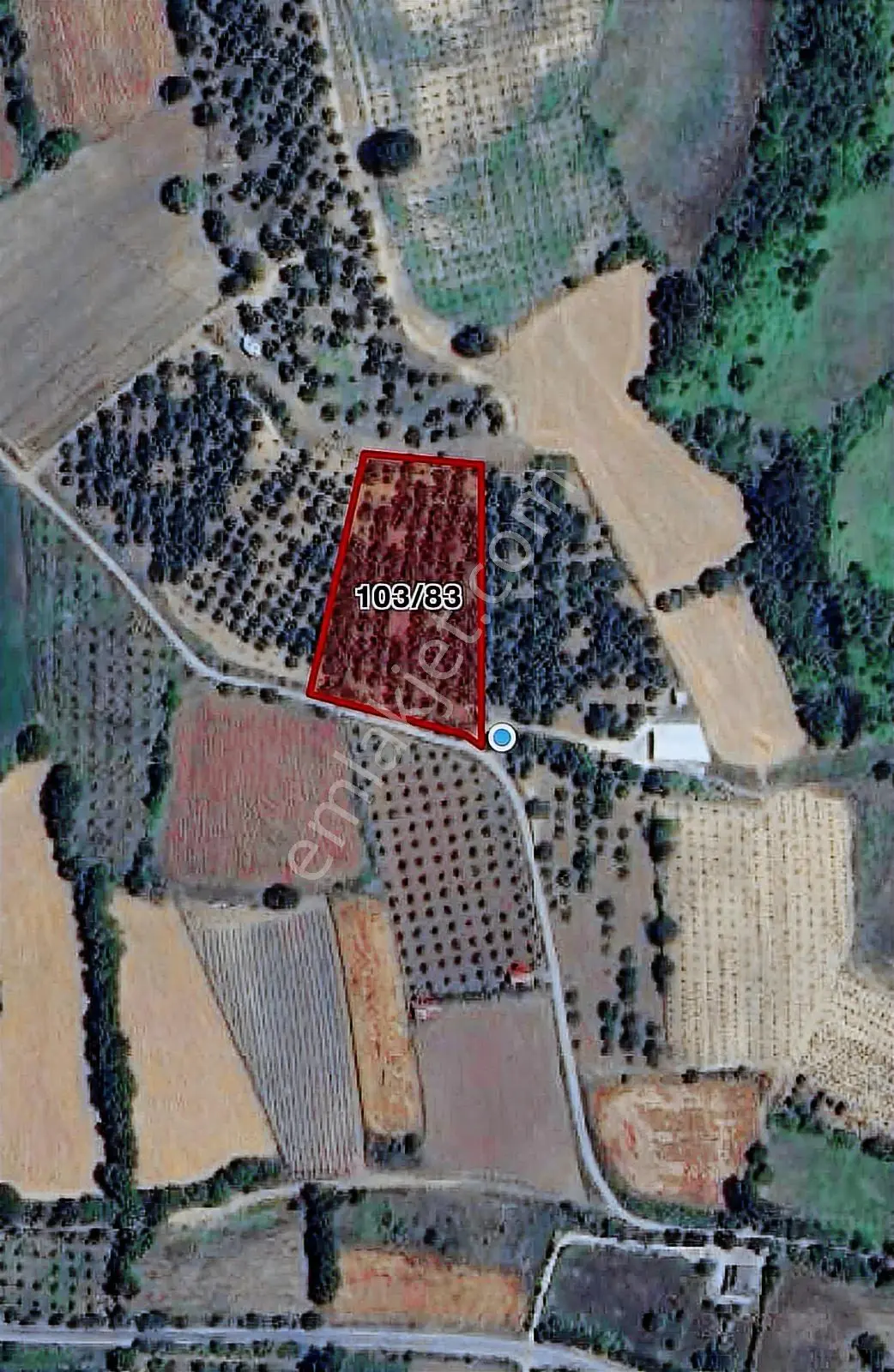Yalakdere'de 5.949 M2 Yetişkin 135 Ağaçlı Ceviz Bahçesi — fotoğraf 19