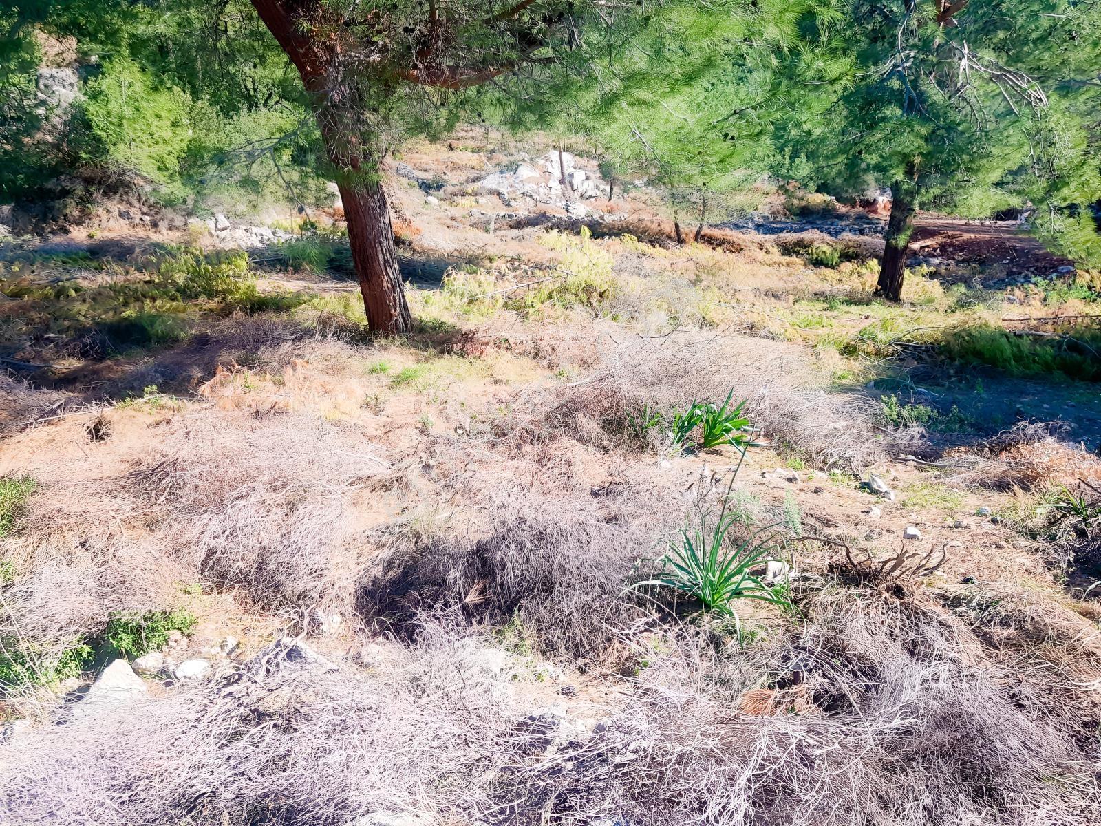 Fethiye Faralyada Deniz Manzaralı, Turizm İmarlı Satılık Arsa — fotoğraf 15