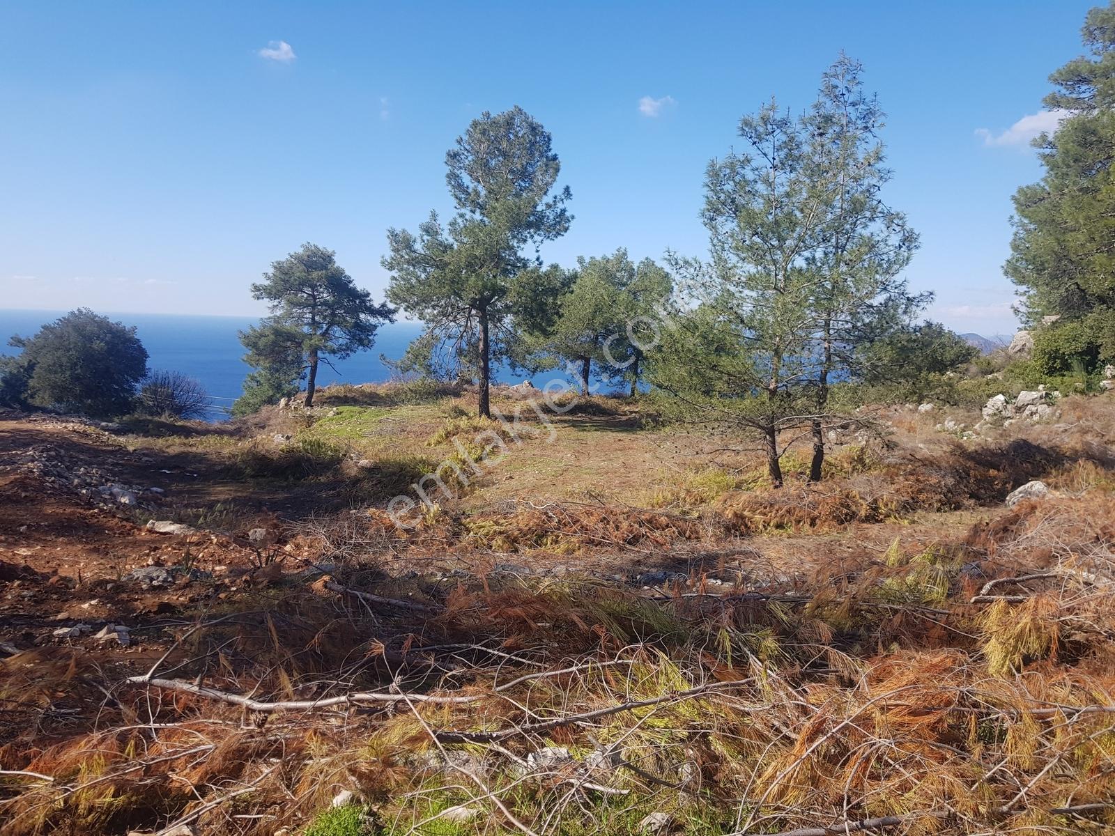 Fethiye Faralyada Deniz Manzaralı, Turizm İmarlı Satılık Arsa — fotoğraf 19