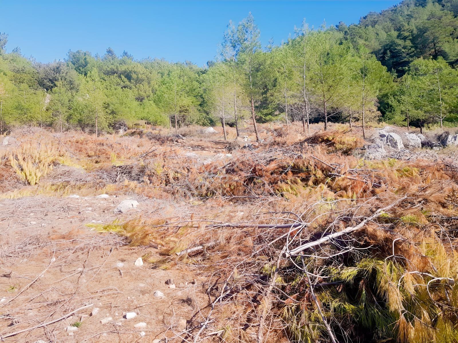 Fethiye Faralyada Deniz Manzaralı, Turizm İmarlı Satılık Arsa — fotoğraf 20