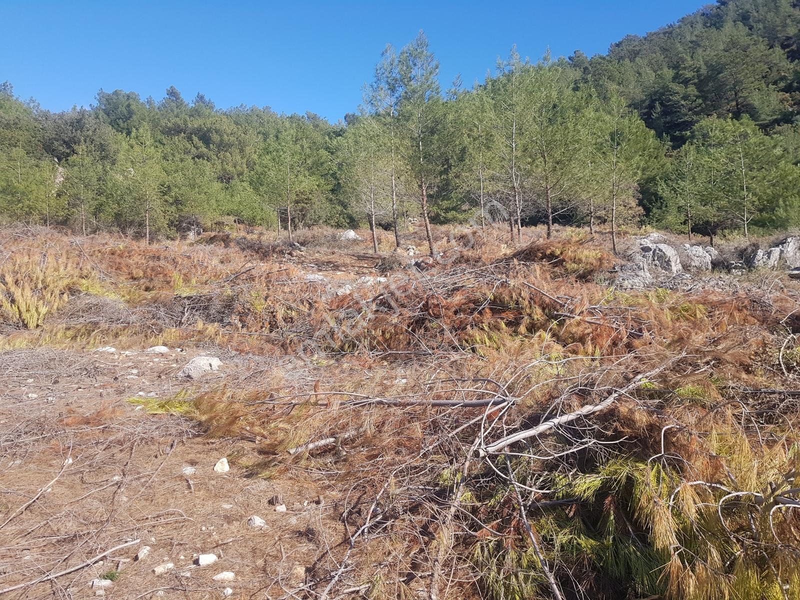 Fethiye Faralyada Deniz Manzaralı, Turizm İmarlı Satılık Arsa — fotoğraf 21