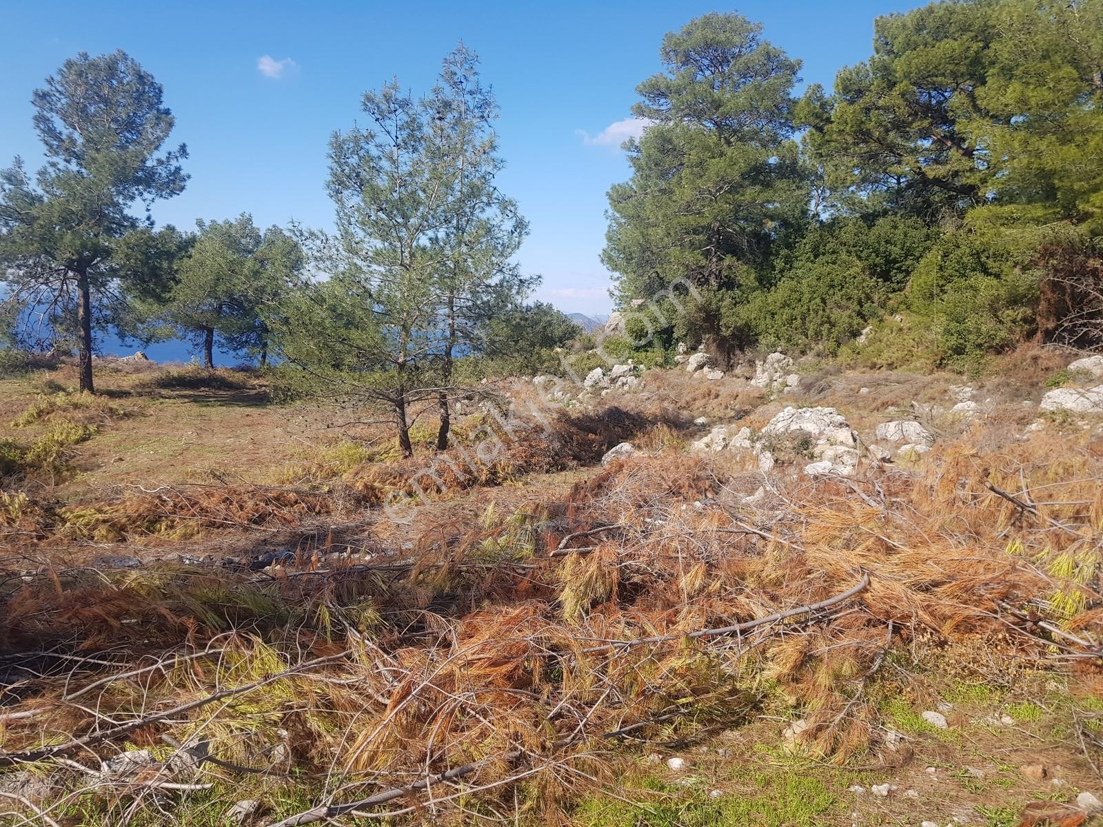 Fethiye Faralyada Deniz Manzaralı, Turizm İmarlı Satılık Arsa — fotoğraf 22