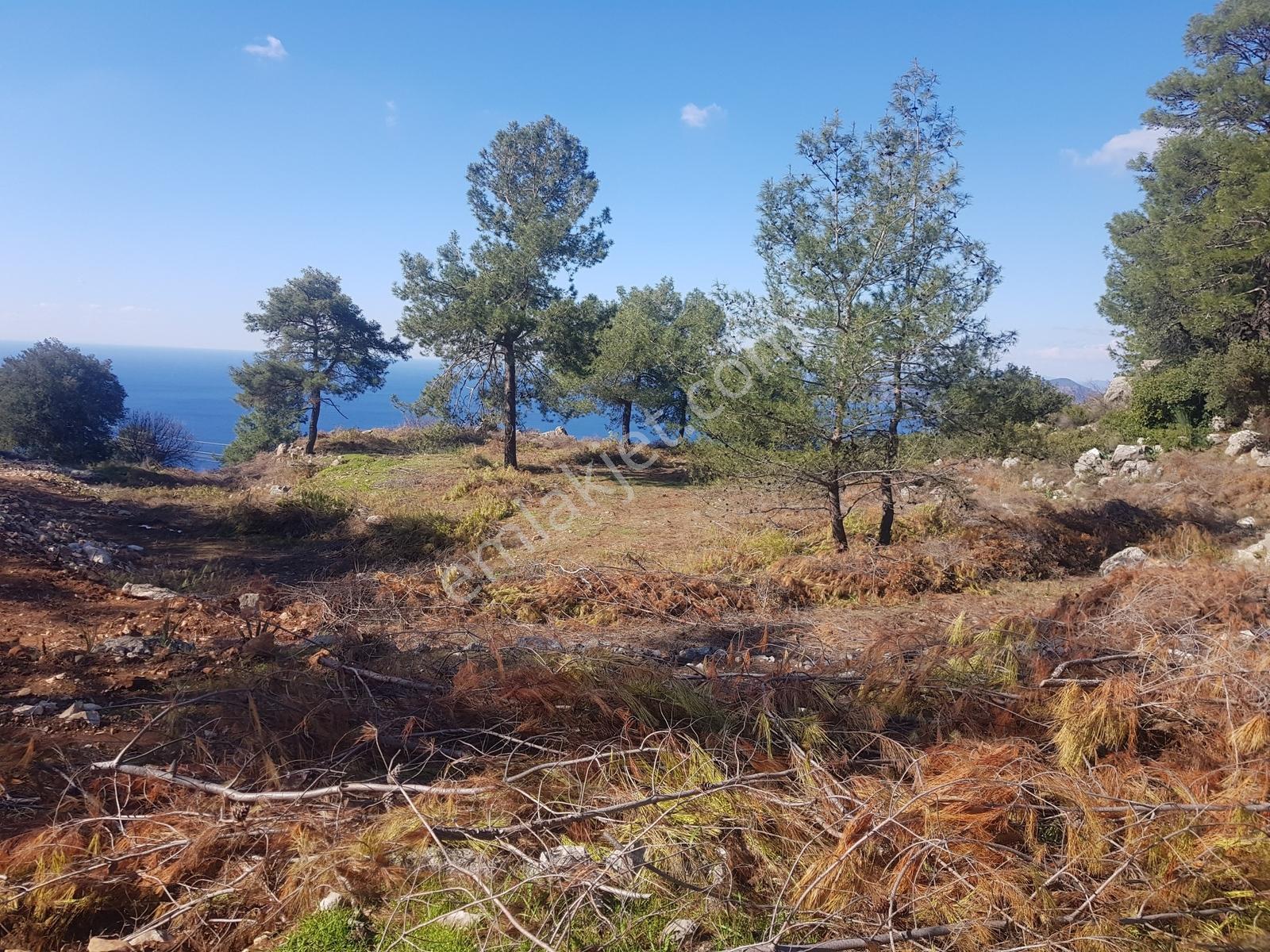 Fethiye Faralyada Deniz Manzaralı, Turizm İmarlı Satılık Arsa — fotoğraf 23