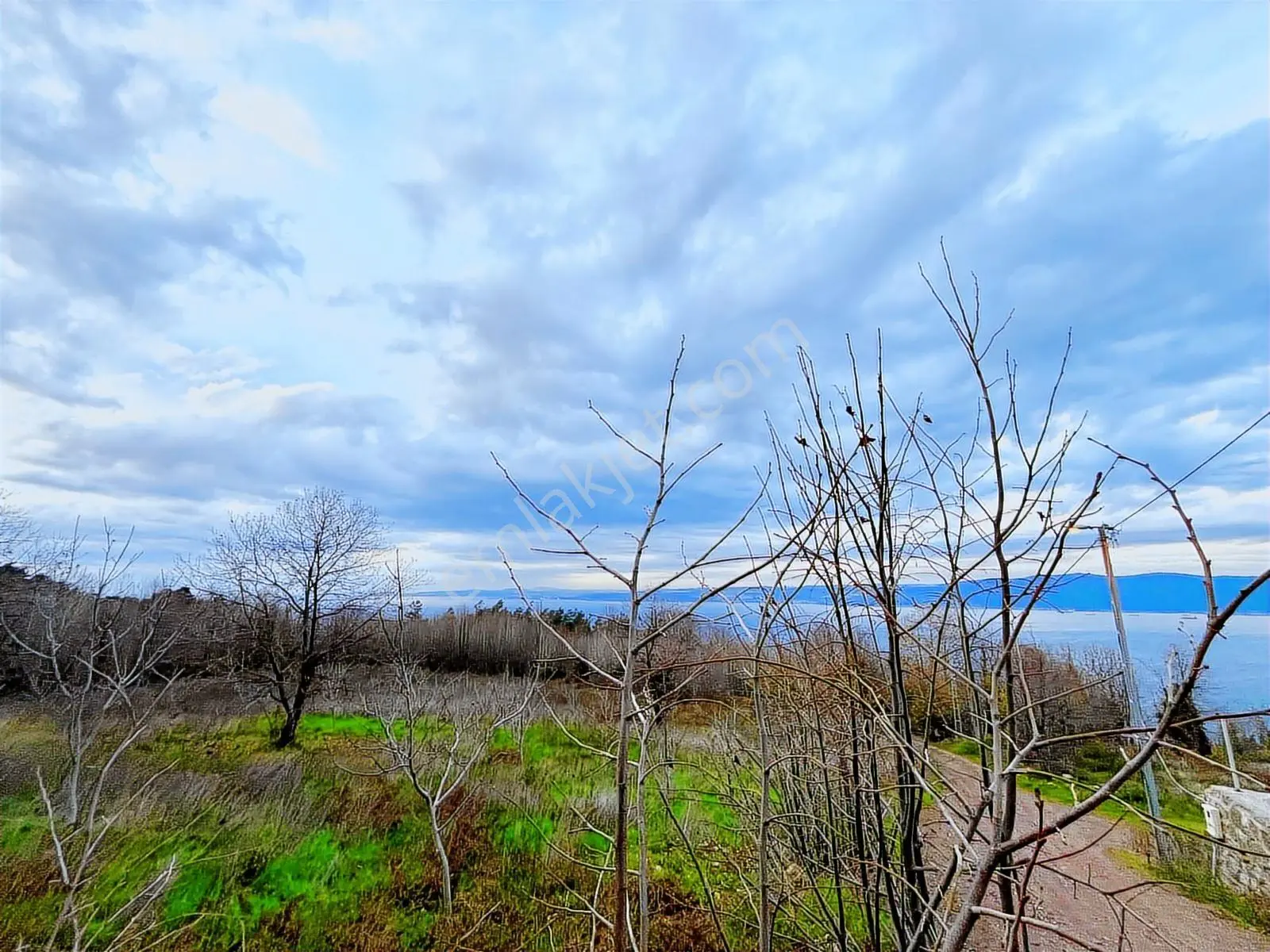 Rw Nova'dan Full Deniz Manzaralı Yola Cephe Arazi — fotoğraf 10