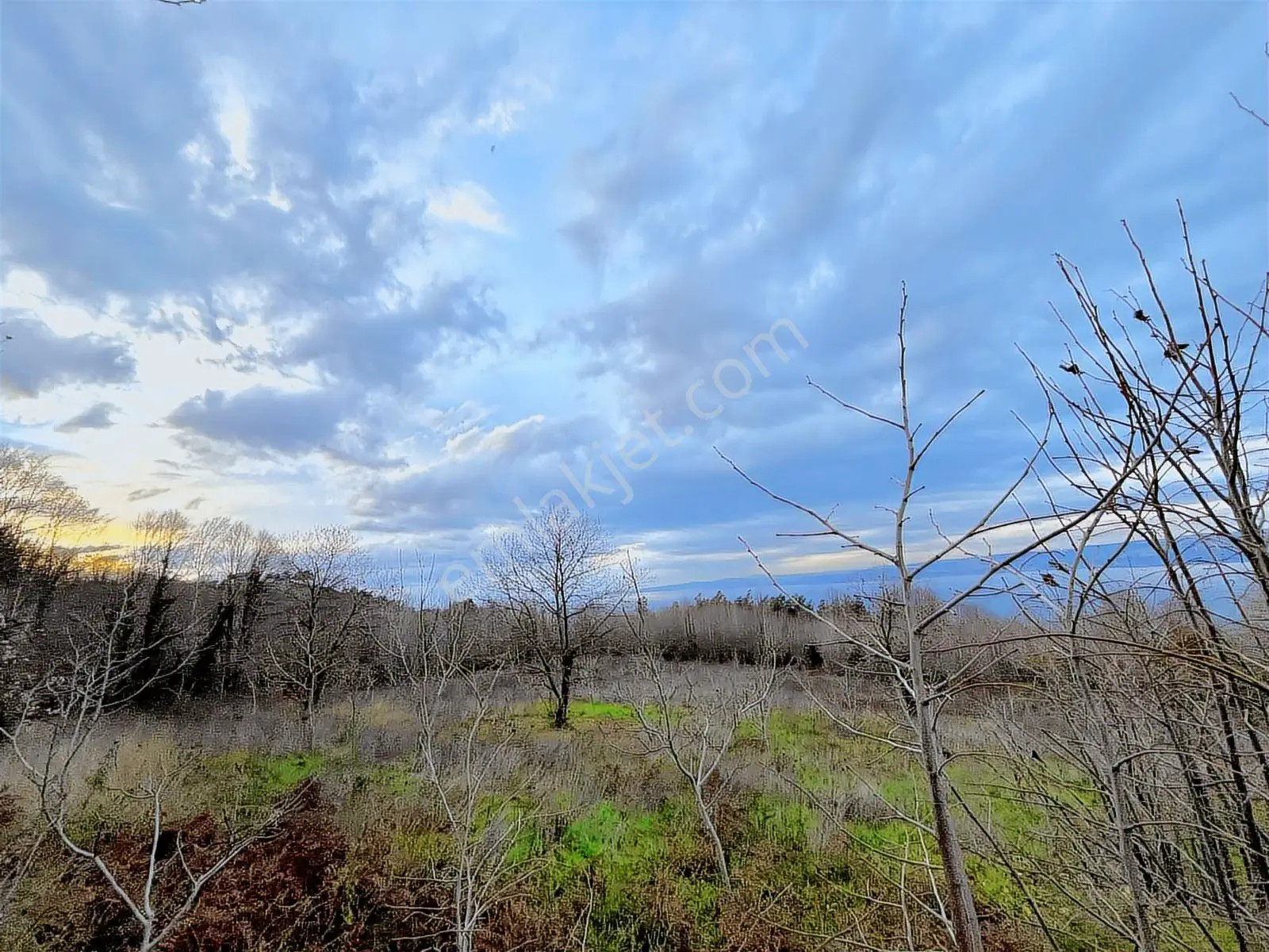 Rw Nova'dan Full Deniz Manzaralı Yola Cephe Arazi — fotoğraf 11