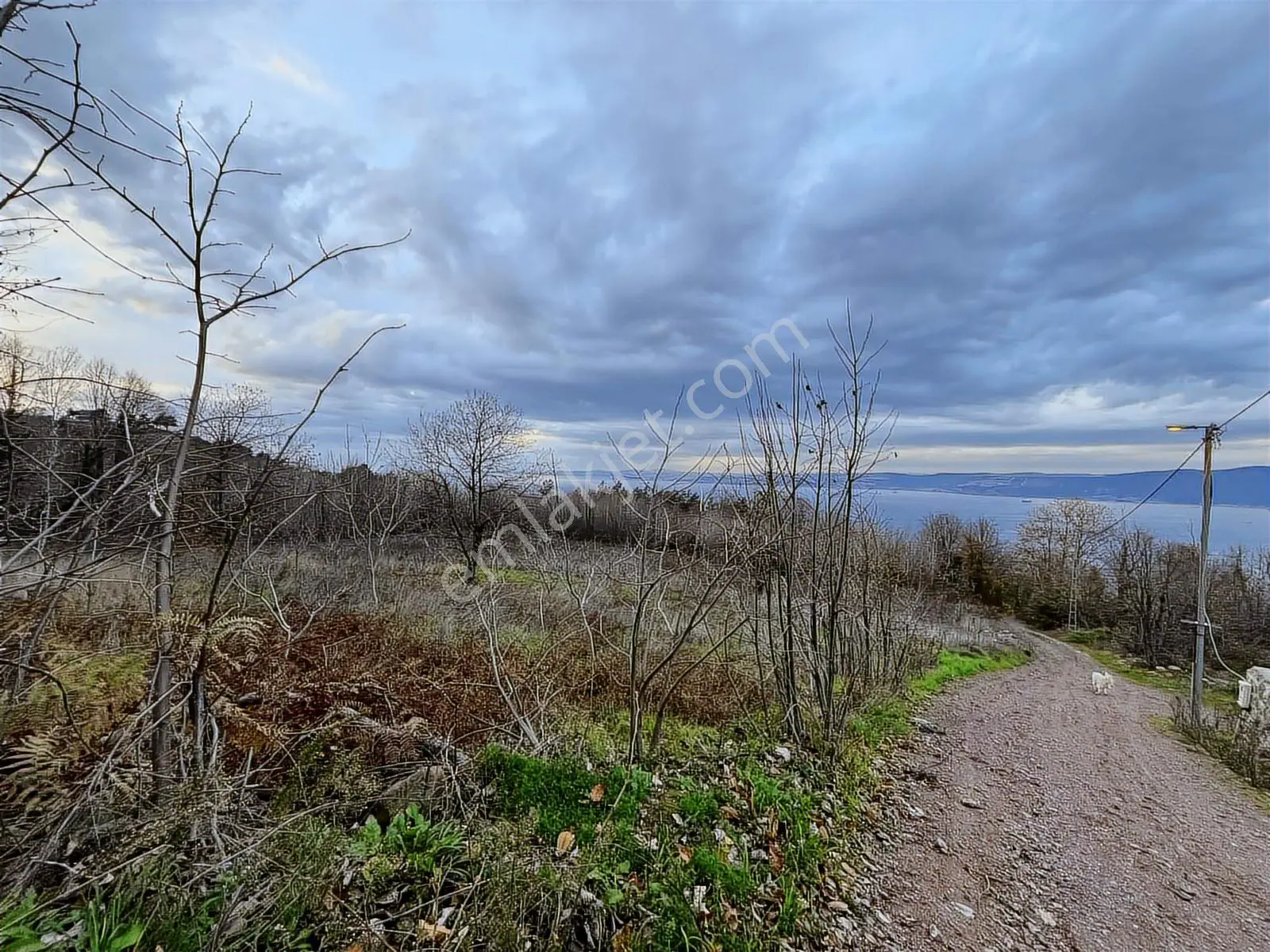 Rw Nova'dan Full Deniz Manzaralı Yola Cephe Arazi — fotoğraf 17