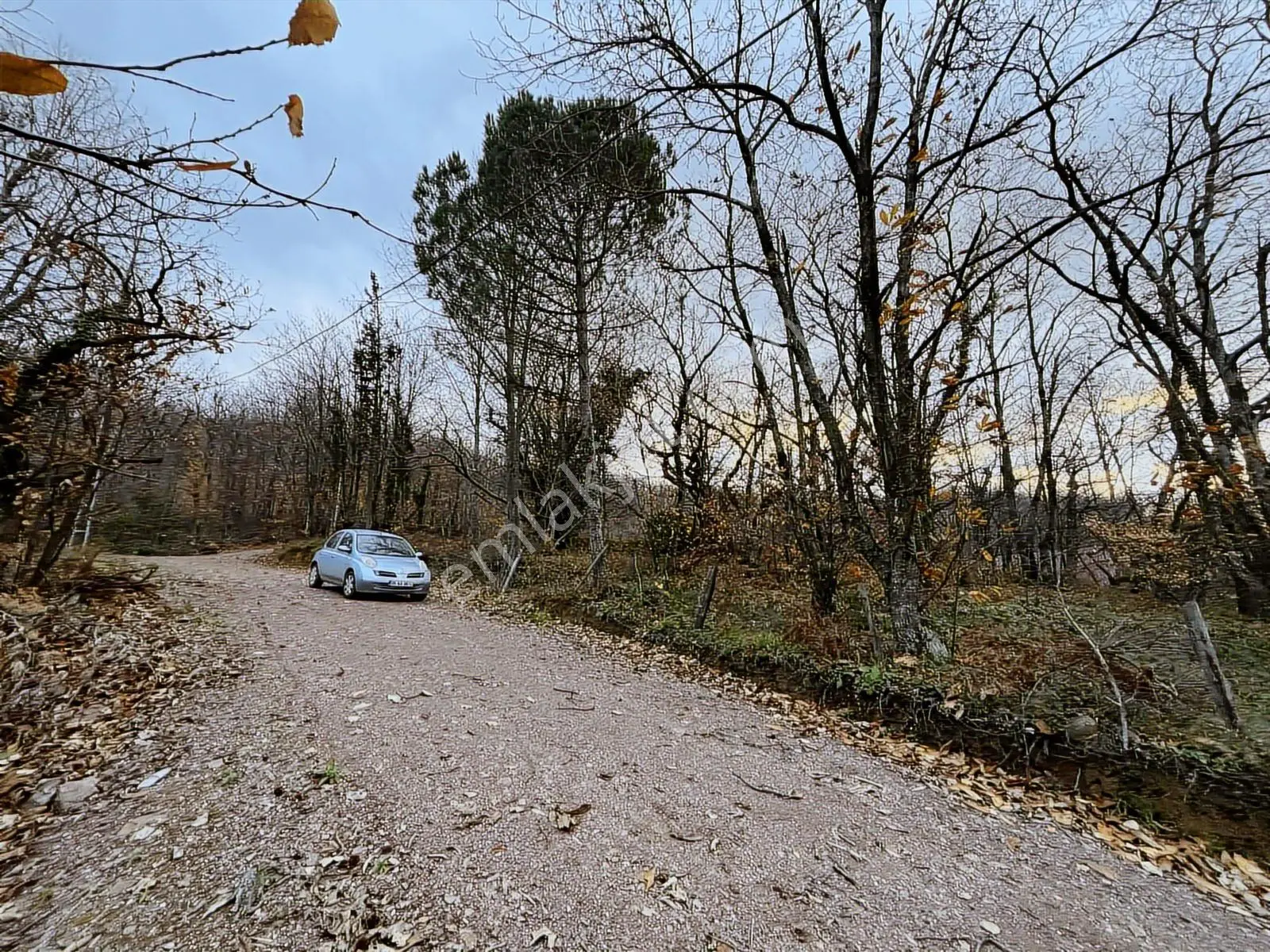 Rw Nova'dan Full Deniz Manzaralı Yola Cephe Arazi — fotoğraf 18