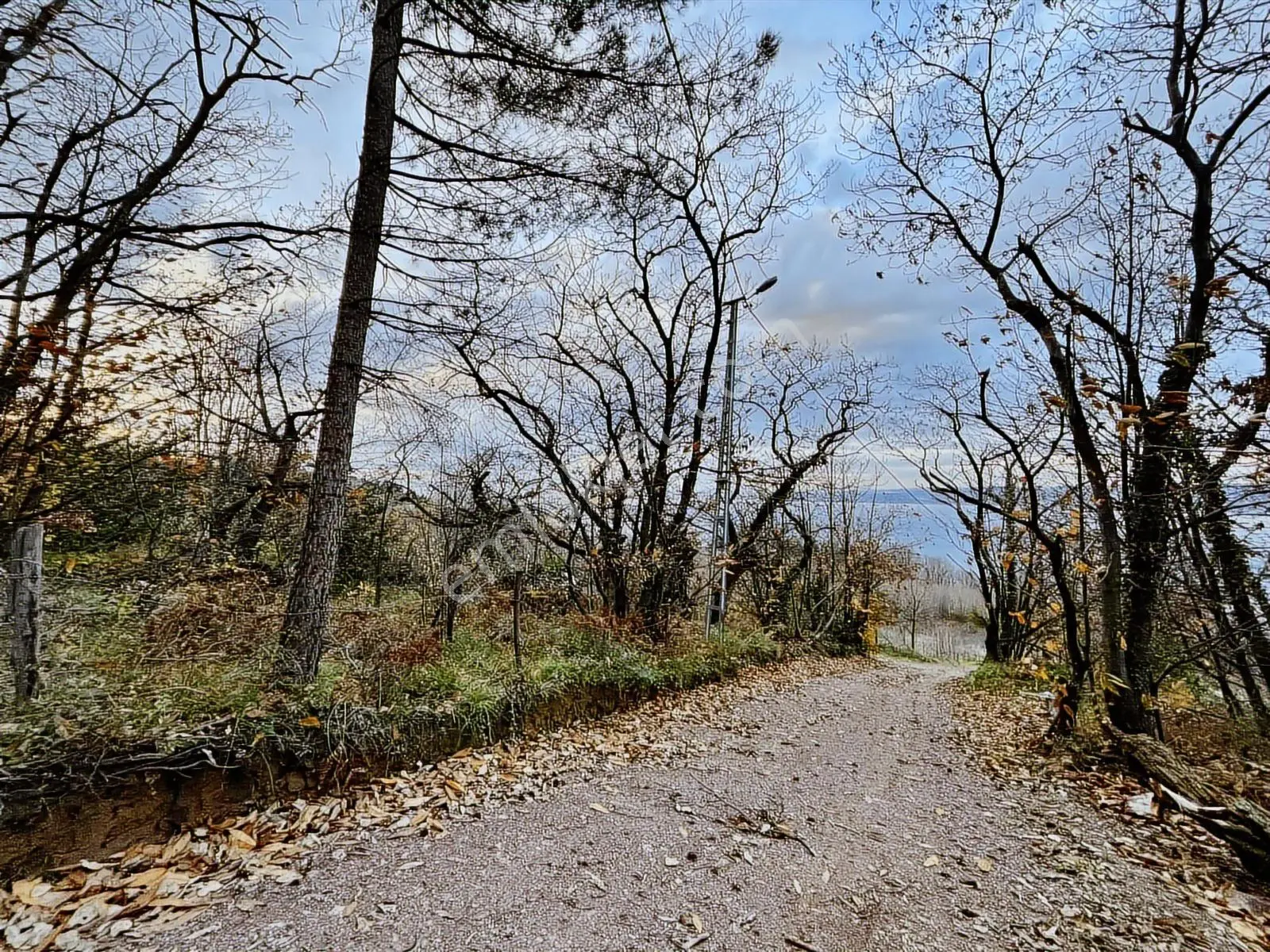 Rw Nova'dan Full Deniz Manzaralı Yola Cephe Arazi — fotoğraf 19