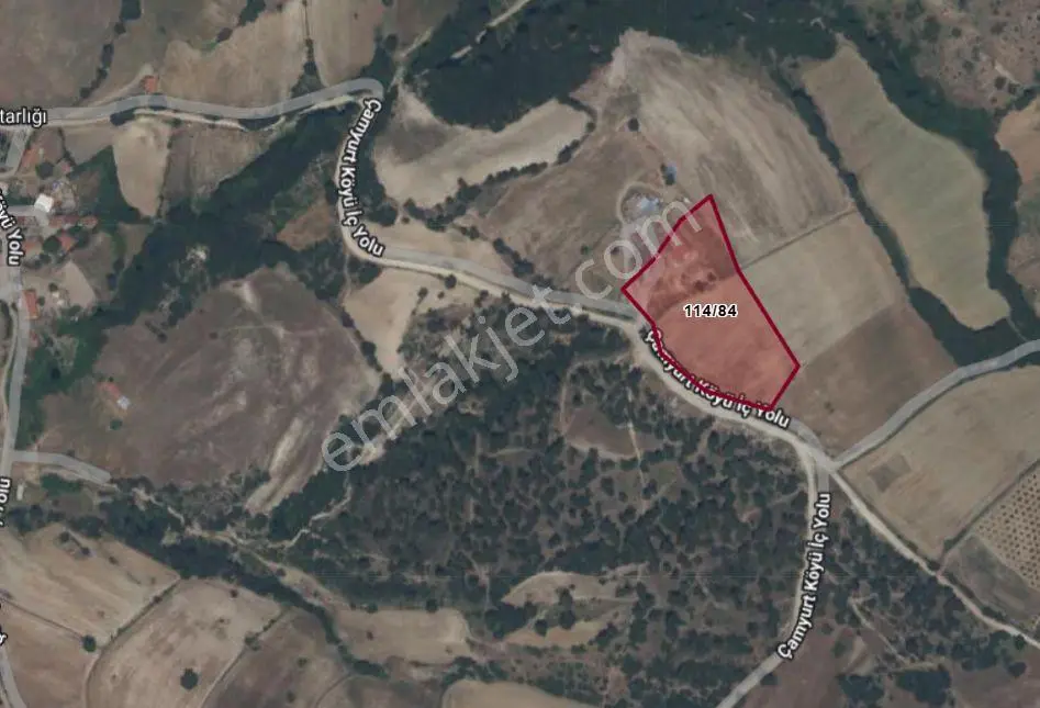 Çanakkale Lapseki Çamyurt Köy İçinde 8.171 M² Yatırımlık Tarla