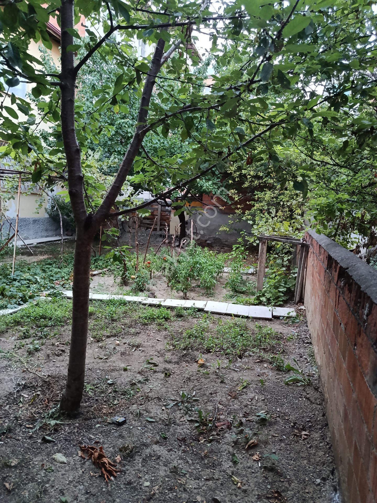 Kafkasevler Camii Civarı Kentsel Dönüşüme Uygun Satılık Arsa — fotoğraf 15