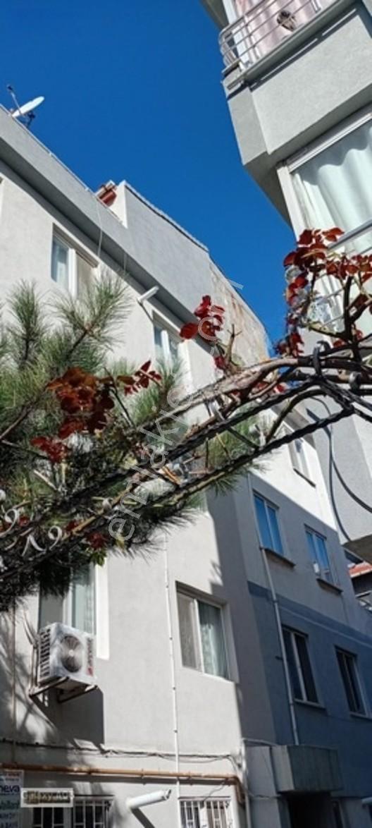 Şarköy Altın Emlaktan Satılık Daire