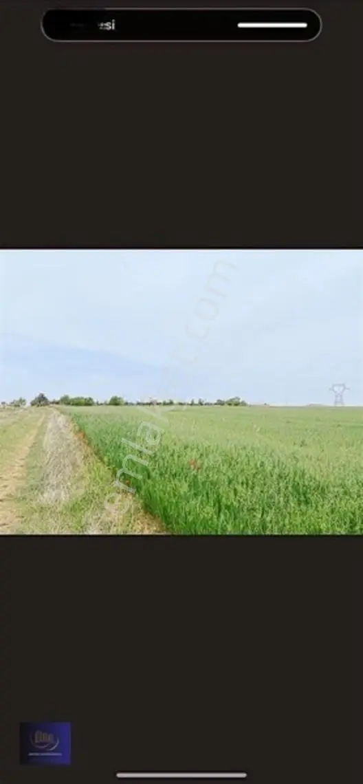 Dağderede Satılık Müstakil Kadastro Yolu Olan 17154 M2 Tarla — fotoğraf 2
