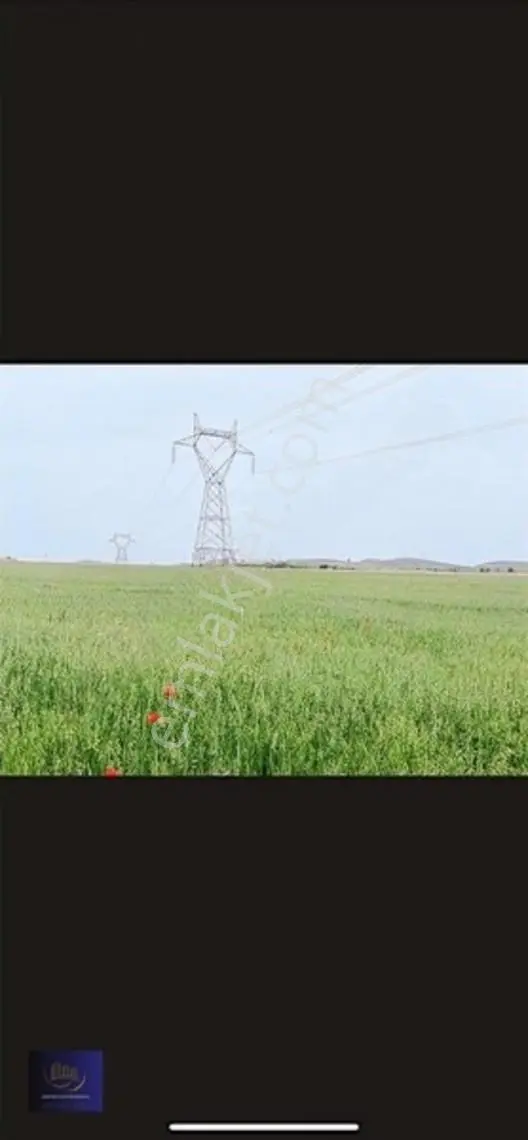 Dağderede Satılık Müstakil Kadastro Yolu Olan 17154 M2 Tarla — fotoğraf 3