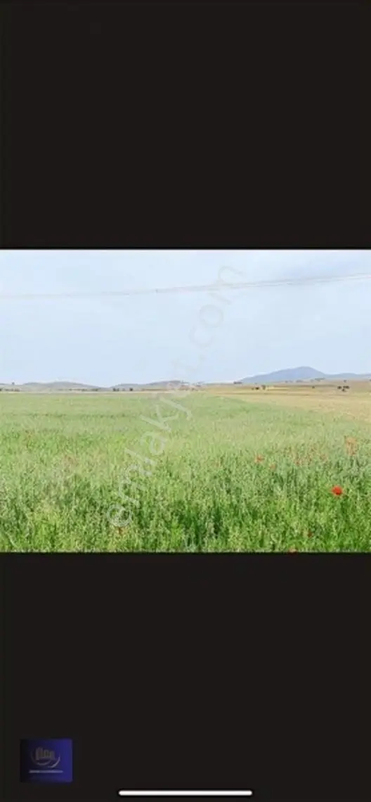 Dağderede Satılık Müstakil Kadastro Yolu Olan 17154 M2 Tarla — fotoğraf 4