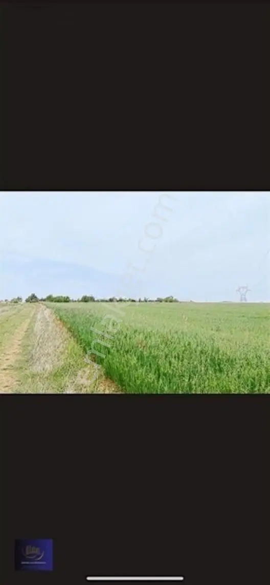 Dağderede Satılık Müstakil Kadastro Yolu Olan 17154 M2 Tarla — fotoğraf 5