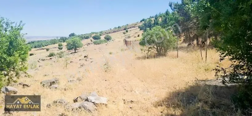 Öğütçüde Otoyol Dibi Vadi Manzaralı Müstakil Tapulu Fırsat — fotoğraf 2