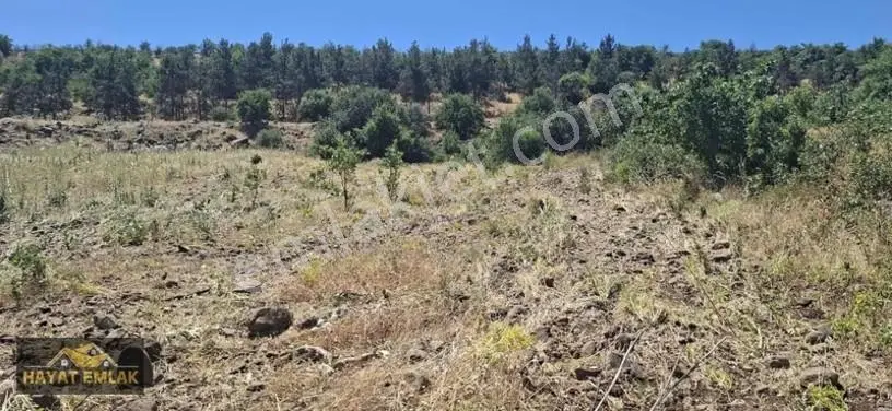 Öğütçüde Otoyol Dibi Vadi Manzaralı Müstakil Tapulu Fırsat — fotoğraf 6