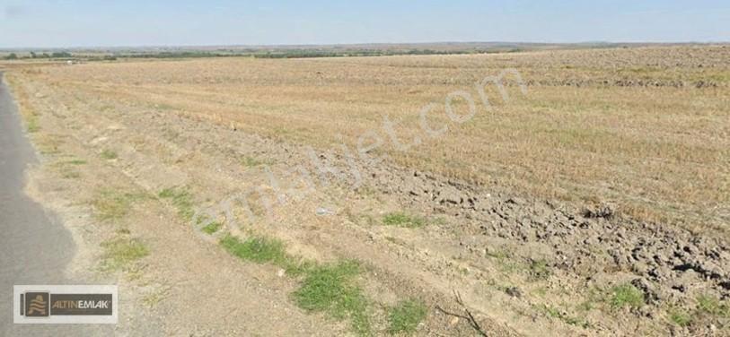 Tekirdağ Malkara Hacısungur Köyünde Satılık 10.596 M2 Tarla — fotoğraf 3