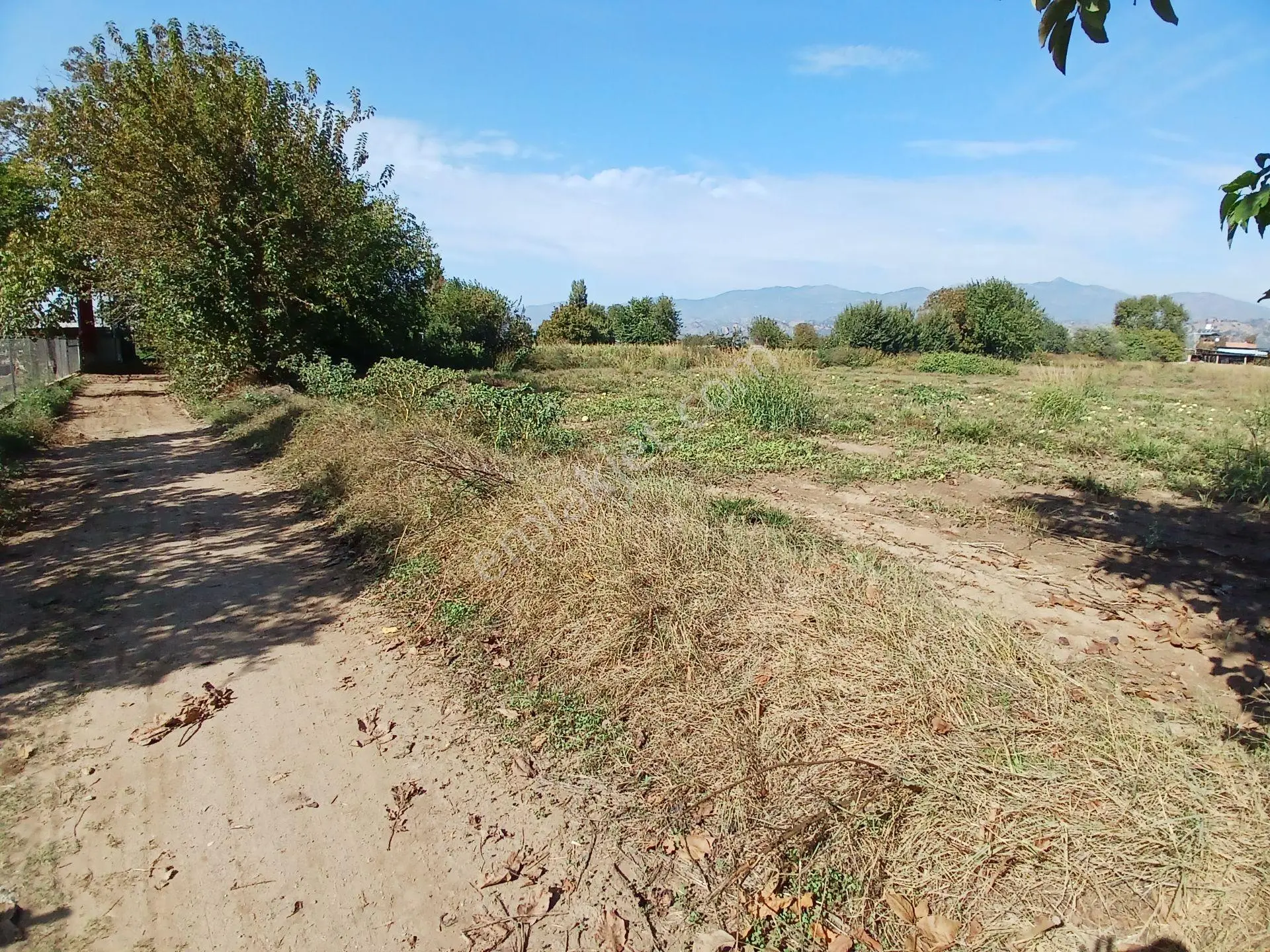 Aydın Köşk Ovaköy Mahallesi Satılık 3671 M² Tarla — fotoğraf 4