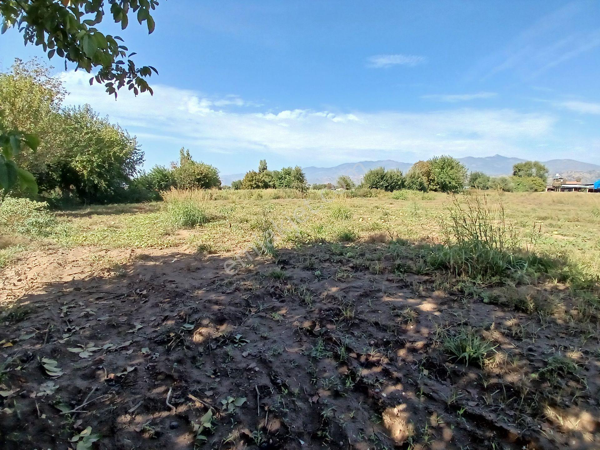Aydın Köşk Ovaköy Mahallesi Satılık 3671 M² Tarla — fotoğraf 7