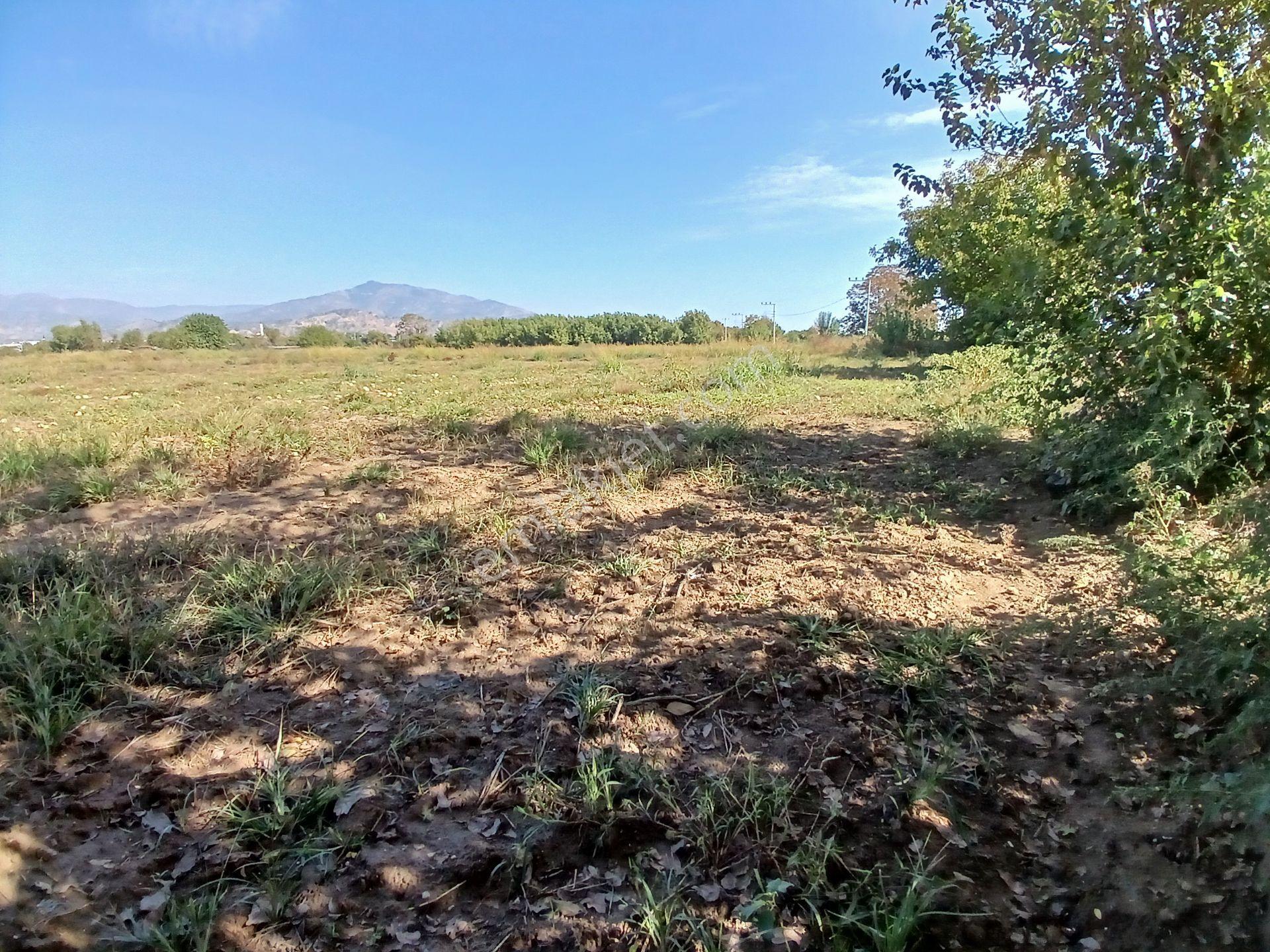Aydın Köşk Ovaköy Mahallesi Satılık 3671 M² Tarla — fotoğraf 8
