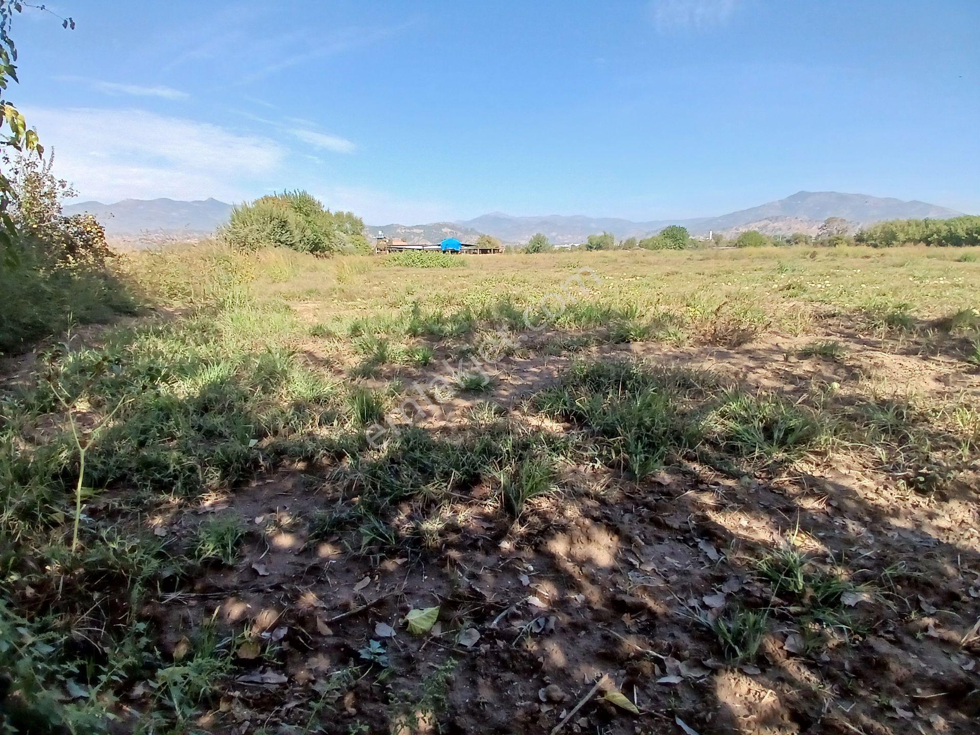 Aydın Köşk Ovaköy Mahallesi Satılık 3671 M² Tarla — fotoğraf 10