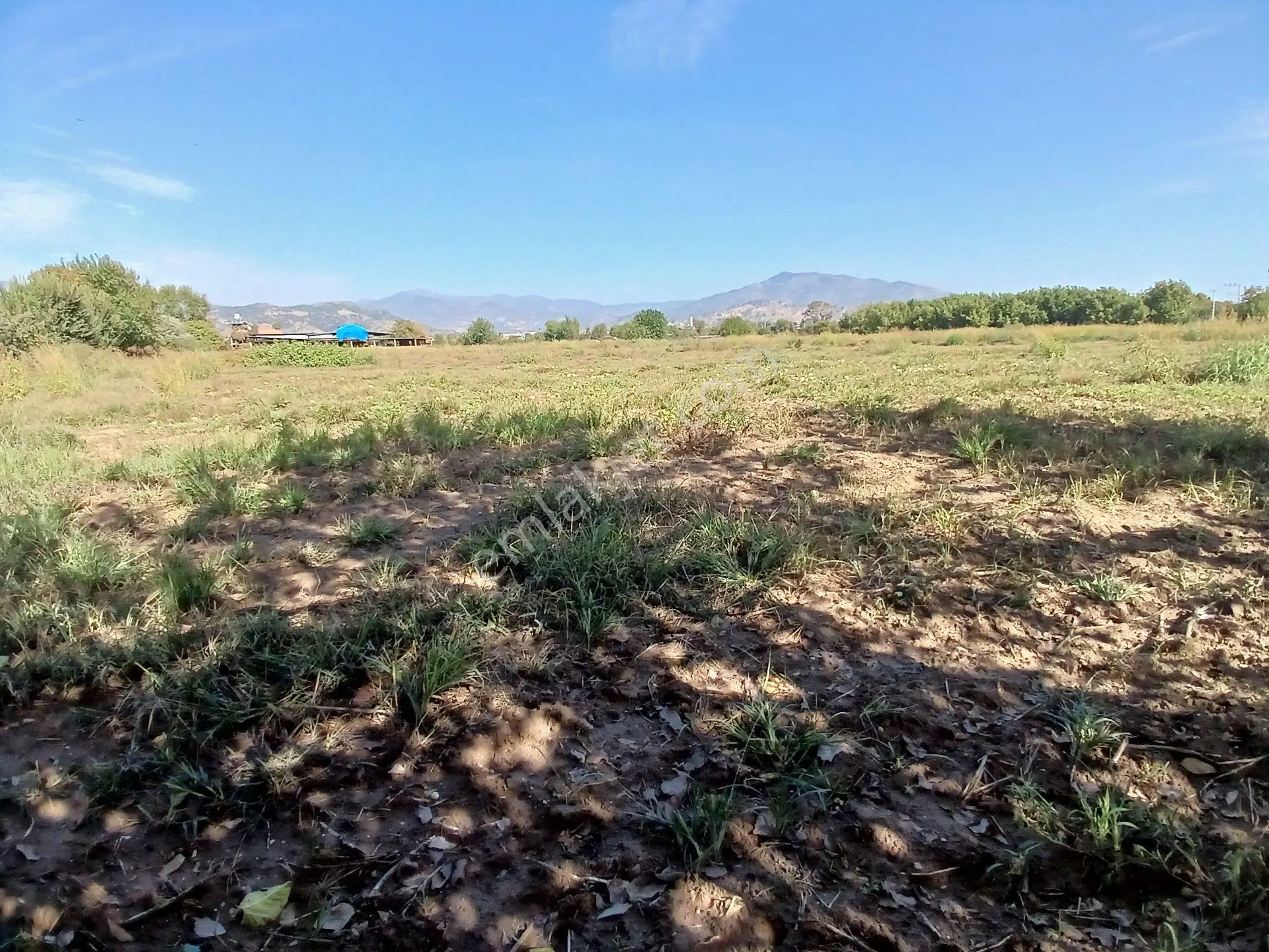 Aydın Köşk Ovaköy Mahallesi Satılık 3671 M² Tarla — fotoğraf 11