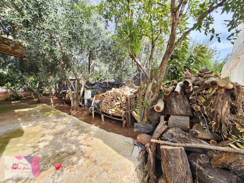 Emlak Aşkı Güvencesiyle Aksu Çamköyde 396 M2 Arsa İçinde 2 Ev — fotoğraf 11
