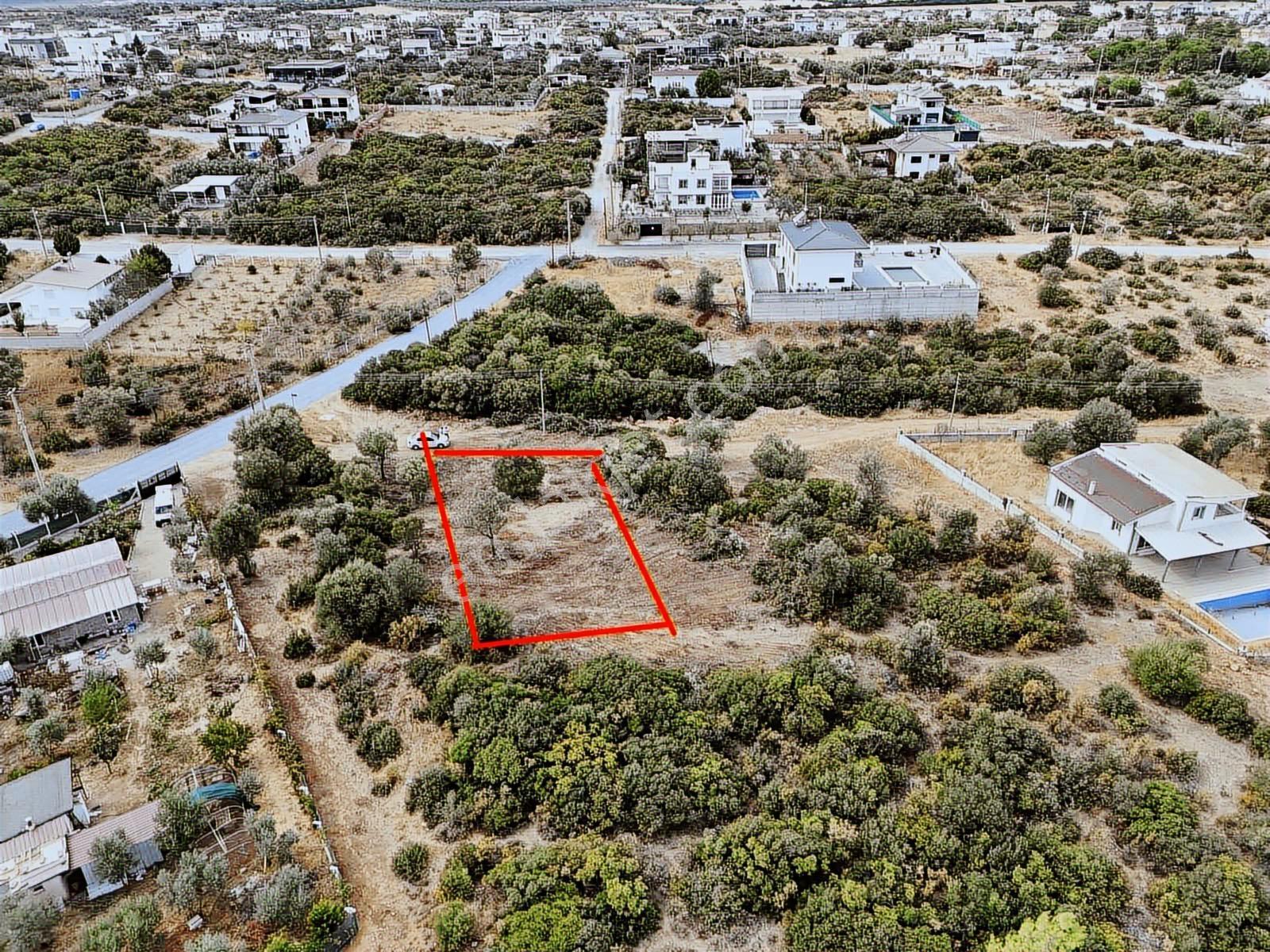 Didimde 700m2 İmarlı Villa Arsası Fırsat Önü Açık — fotoğraf 8