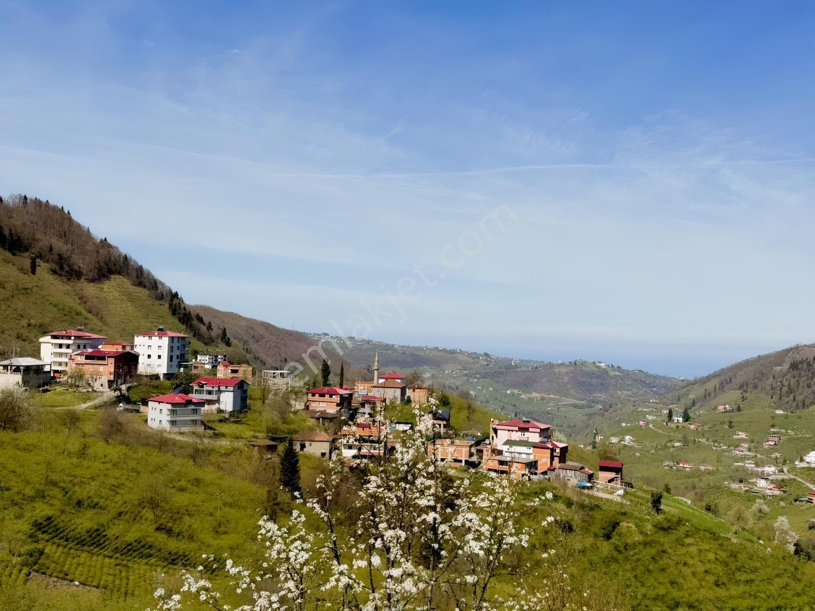 Ula Group'dan Ortahisar Sayvan Mevkin'de Satılık Ev Ve Arazisi — fotoğraf 5