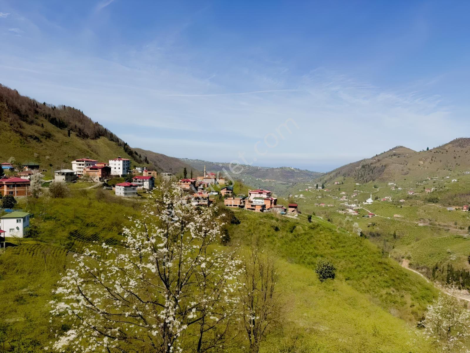 Ula Group'dan Ortahisar Sayvan Mevkin'de Satılık Ev Ve Arazisi — fotoğraf 7