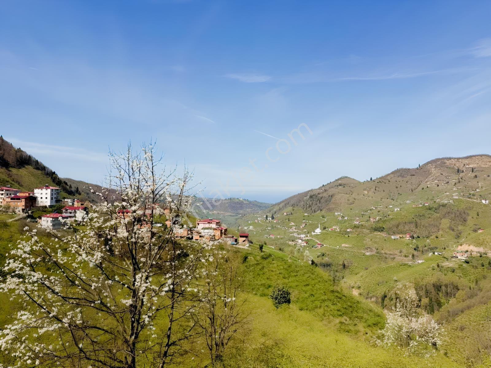 Ula Group'dan Ortahisar Sayvan Mevkin'de Satılık Ev Ve Arazisi — fotoğraf 10