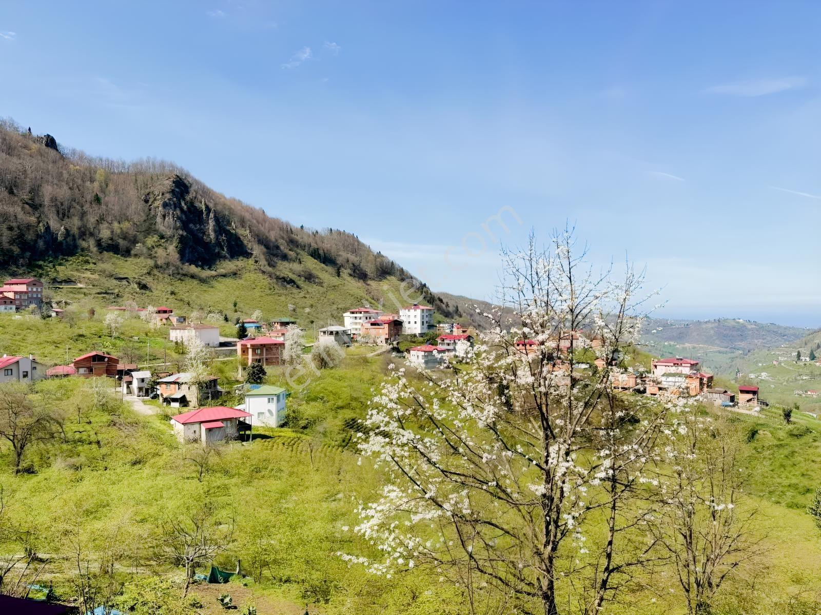 Ula Group'dan Ortahisar Sayvan Mevkin'de Satılık Ev Ve Arazisi — fotoğraf 11