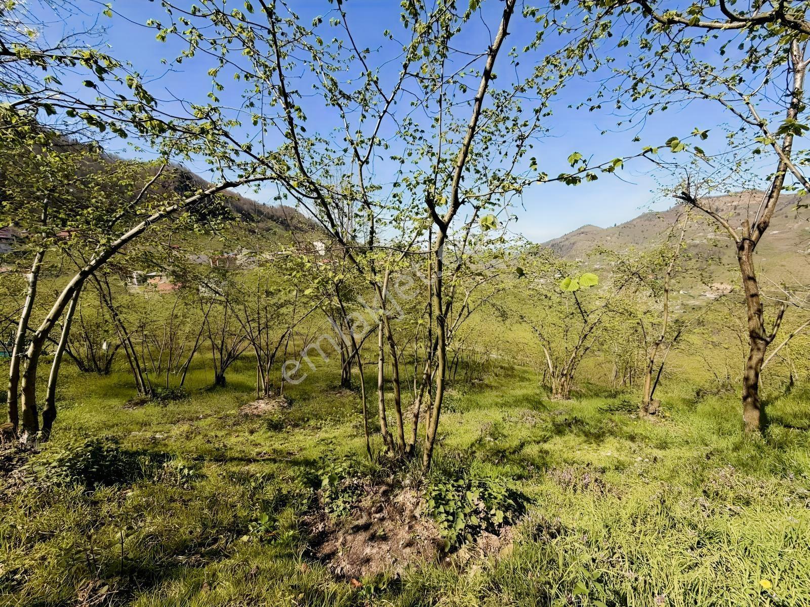 Ula Group'dan Ortahisar Sayvan Mevkin'de Satılık Ev Ve Arazisi — fotoğraf 12