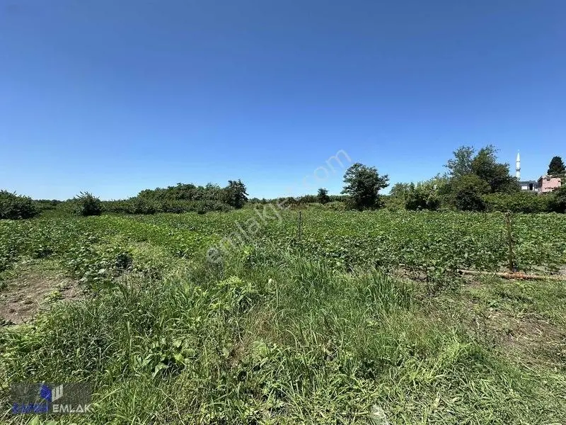 Zafer Emlak'tan Satılık 19.124 M2 Tarla — fotoğraf 2