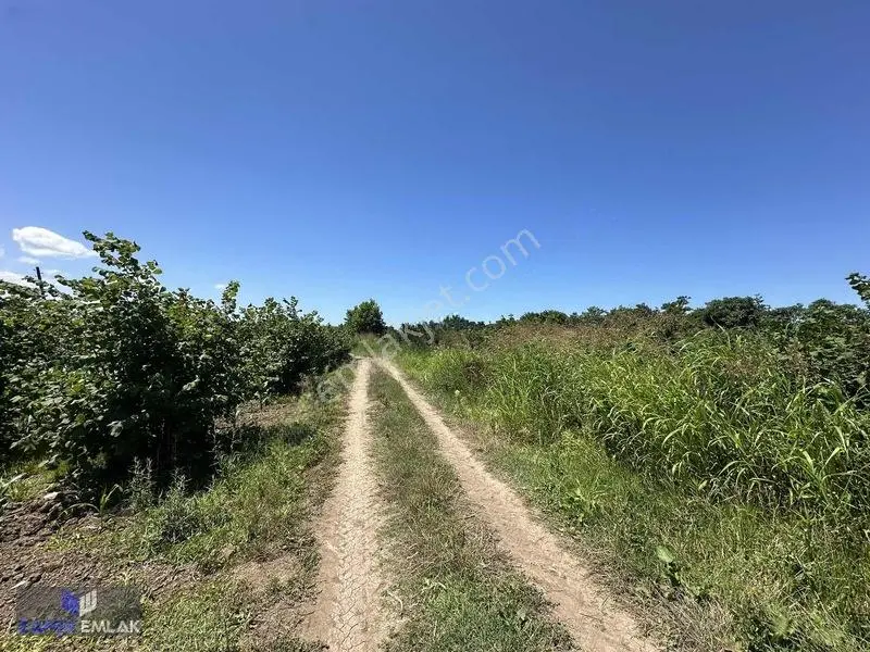 Zafer Emlak'tan Satılık 19.124 M2 Tarla — fotoğraf 5