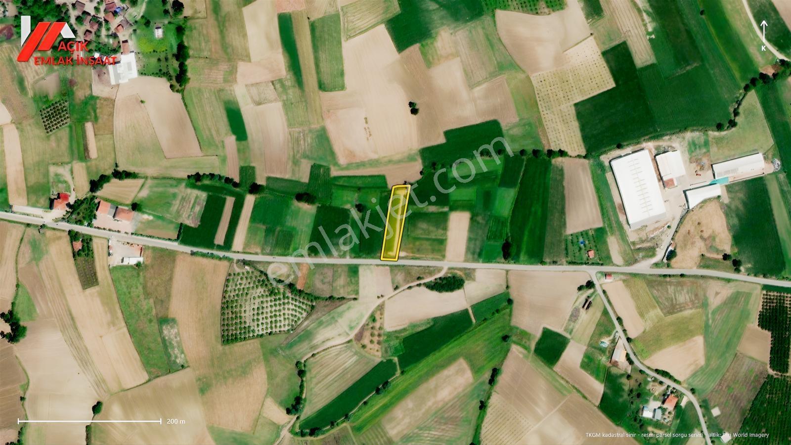 Sakarya Kaynarcada Yola Cepheli, Az Eğimli 2.400 M² Tarla — fotoğraf 9