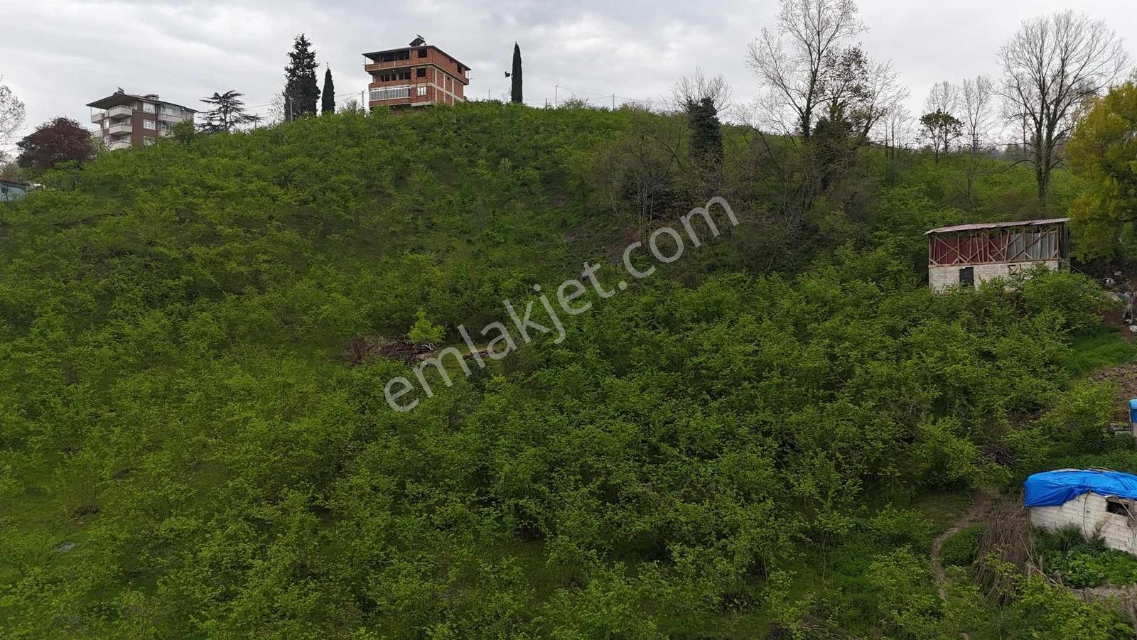 Ula Group'dan Kutlugünde Ticari İmarlı 5.009 Mk Arsa — fotoğraf 4