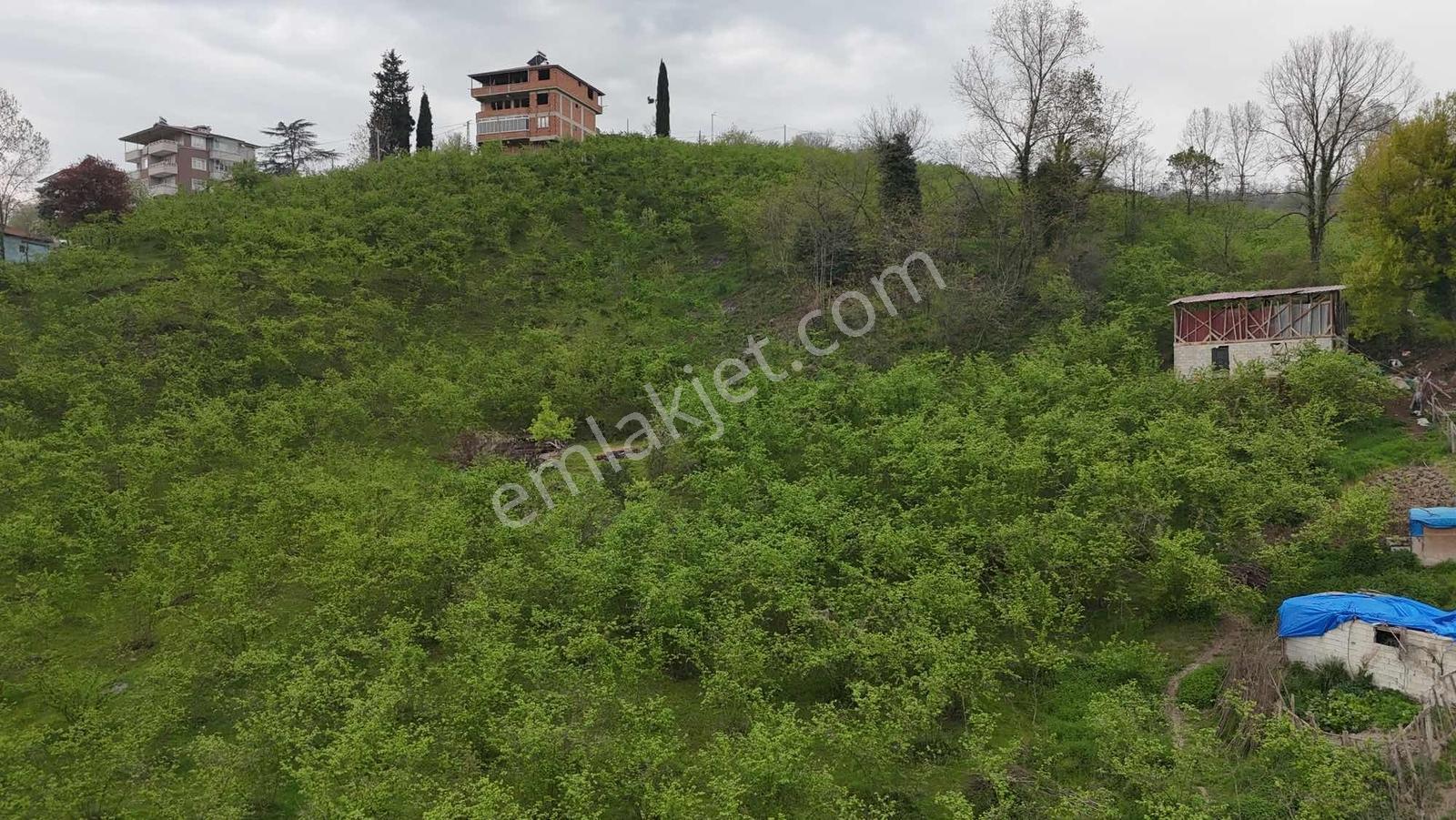 Ula Group'dan Kutlugünde Ticari İmarlı 5.009 Mk Arsa — fotoğraf 5