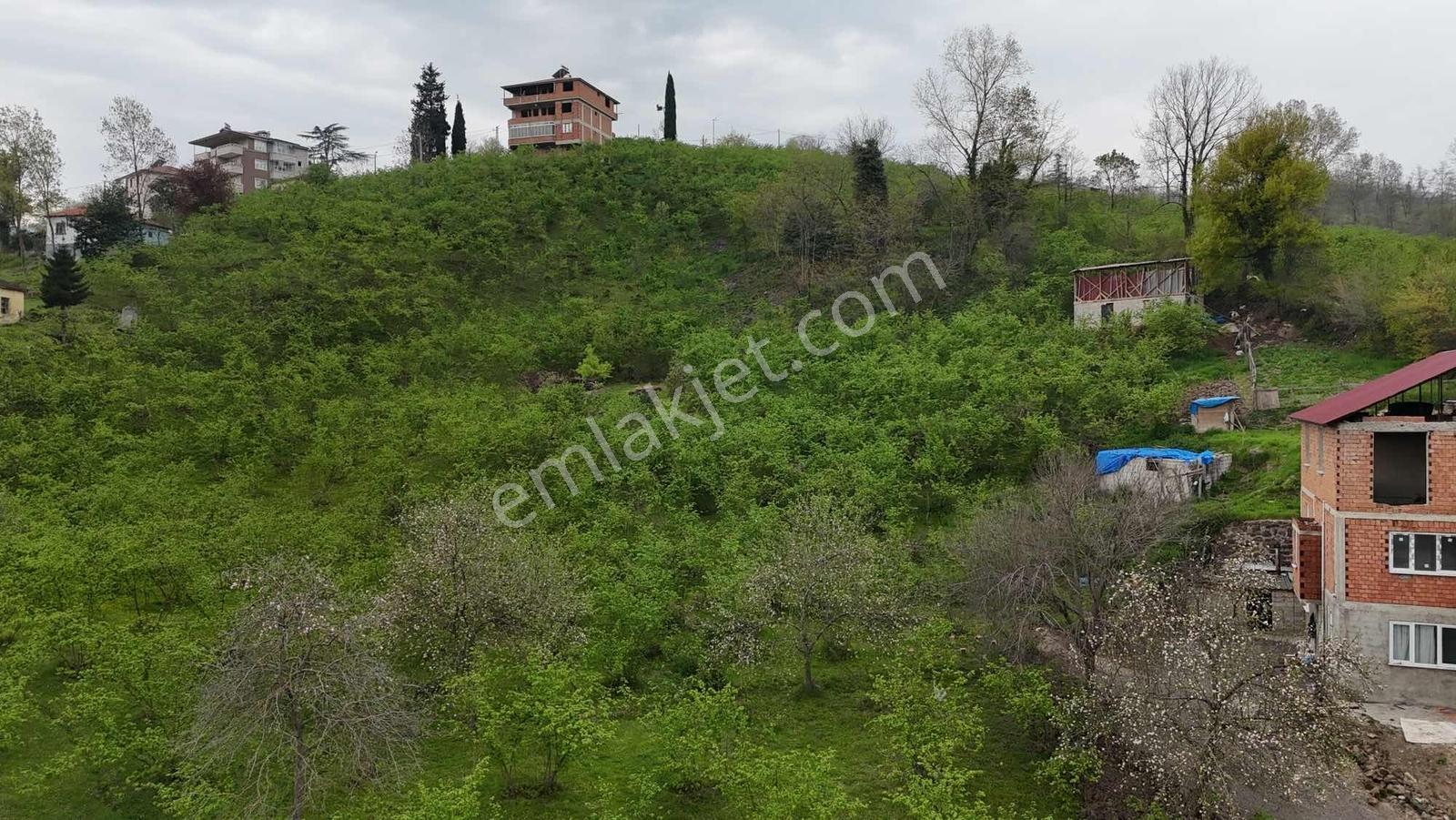 Ula Group'dan Kutlugünde Ticari İmarlı 5.009 Mk Arsa — fotoğraf 6