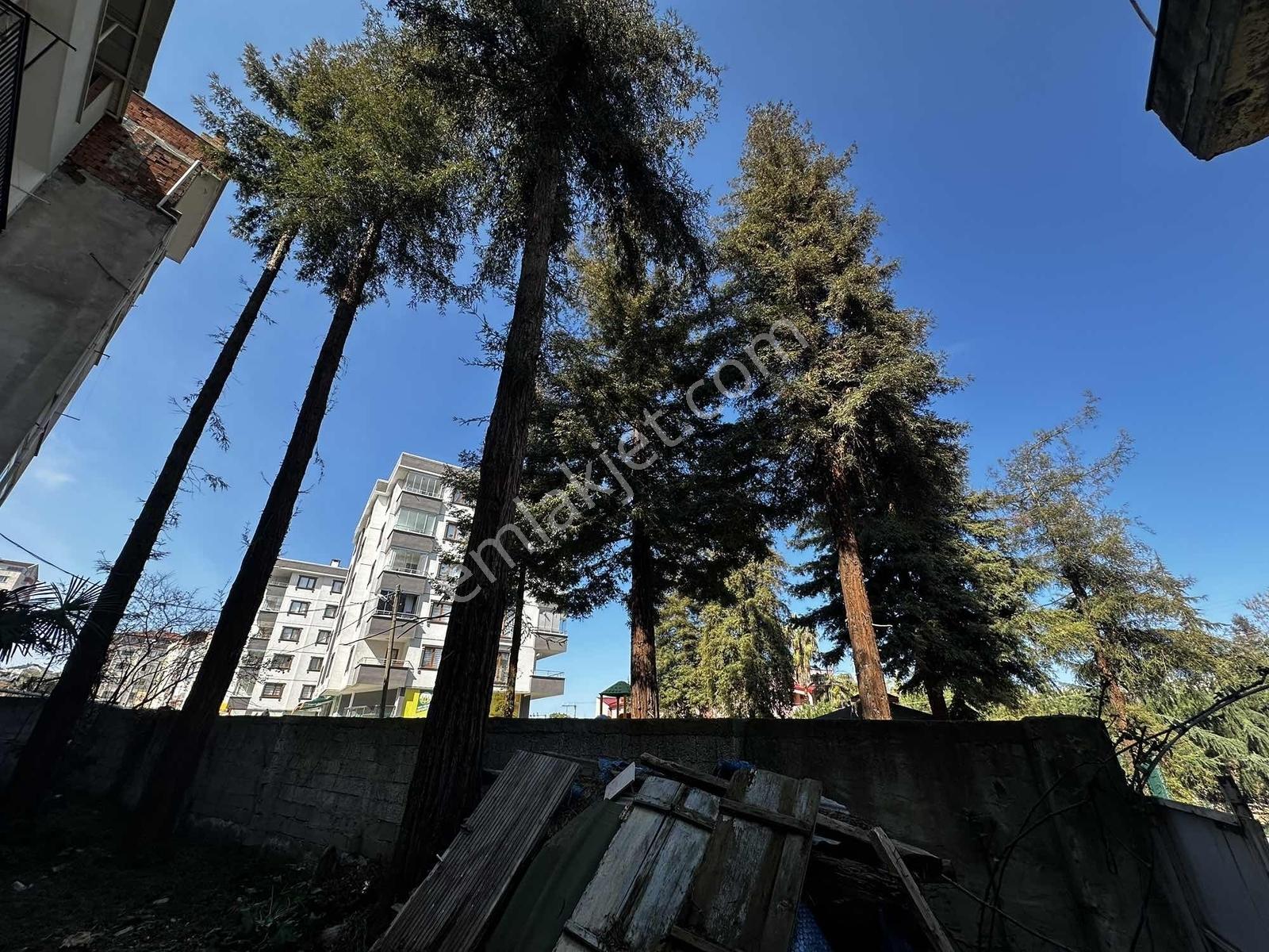 Ula Group'dan Bahçecikte Satılık İmarlı Arsa + Ev — fotoğraf 7