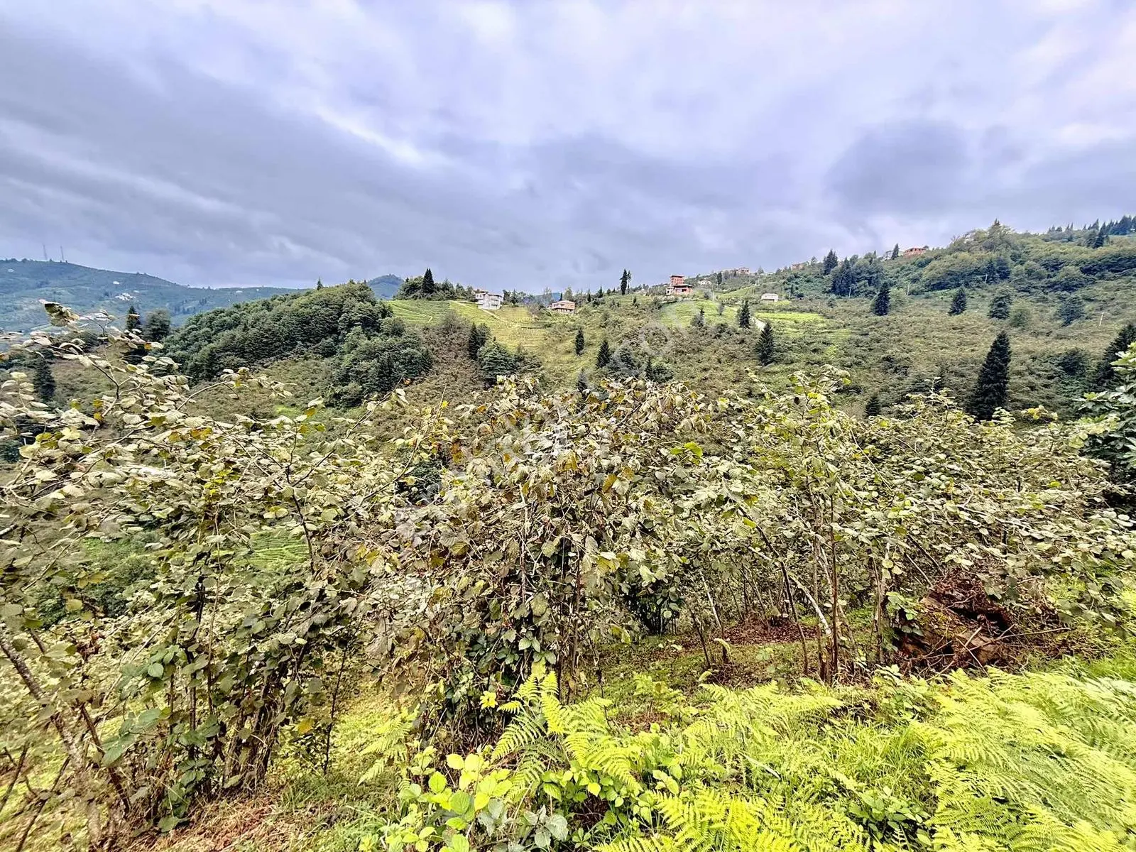 Ula Group'dan Çağlayan Esenyurt'da Satılık 3.320 M2 Arazi — fotoğraf 2