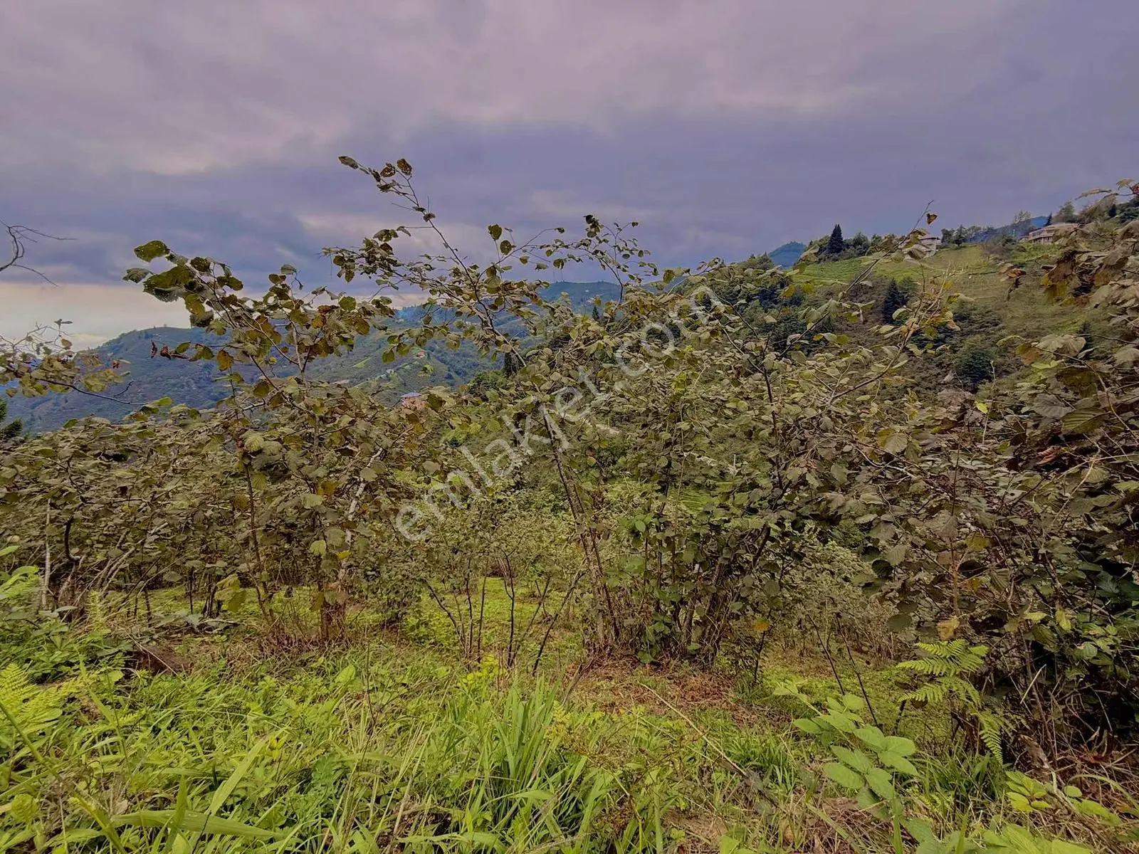 Ula Group'dan Çağlayan Esenyurt'da Satılık 3.320 M2 Arazi — fotoğraf 9