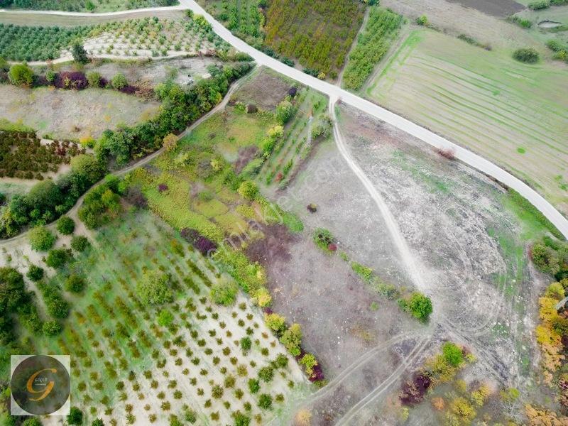 İnegöl Deydinler Mahallesinde Satılık Tarlalar — fotoğraf 8