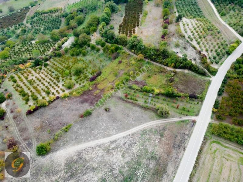 İnegöl Deydinler Mahallesinde Satılık Tarlalar — fotoğraf 15